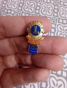 Lions Club International Vice District Governor Pin 2008-09 - Picture 1 of 2
