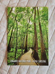 Postkarte - Congaree Nationalpark, SC, USA - Bild 1 von 3