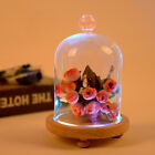 RGB/Warm White LED Lighted Up Glass Dome Display Bell Jar Cloche Wooden Base UK