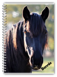 PERSONALISIEREN SIE REITERDRESSUR SJ CC PONIES LOGBUCH TAGEBUCH/PLANER - Bild 1 von 25