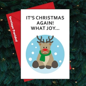BC330 Christmas What Joy  Funny Christmas Card Friend Brother Sister Dad Mum - Picture 1 of 3