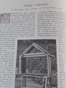 David Devant Magician Magic Puppet Marionettes Show Rare Old Article 1903 Rugby - Picture 1 of 10