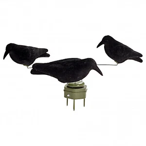 Bearstep Krähenkarussell