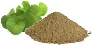 Brahmi Polvere Bacopa Monnieri Polvere 100% Pura e Naturale Bio Cura Ayurvedica - Foto 1 di 4