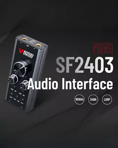 Simplefly SF2403 Analog Dual-Channel 24bit/192kHz AD/DA Converter w/ USB-C - Picture 1 of 13