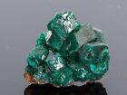 Cristal vert DIOPTASE 0,46 oz spécimen de pierre de chakra de guérison #9663T - RD Congo