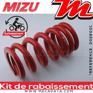 Kit de Rabaissement BMW F 700 GS (E8GS) 2013 Mizu - 40 mm - Picture 1 of 1