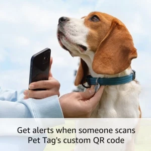 Ring Pet Tag con QR Code | Avvisi in tempo reale | Profilo condivisibile | Senza costi - Foto 1 di 6