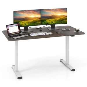 55" Ergonomic Electric Standing Desk w/ Cable Management Hole for Home Office - Picture 1 of 10