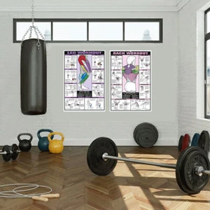 Brand New Gym Workout Poster All Body Chart Chest,Back,Abs,Etc Exercises Posters - Picture 1 of 13