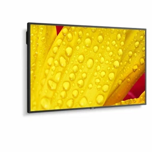 Monitor NEC 60005048 43" 4K Ultra HD LED 43" IPS 50-60 Hz - Bild 1 von 5