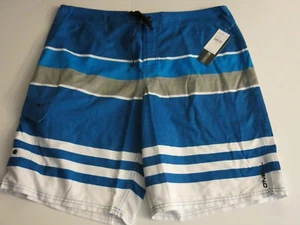 O'Neill Men's 40 Castaway 2 Blue Gray Stripe Surf Board Shorts Beach - Picture 1 of 2