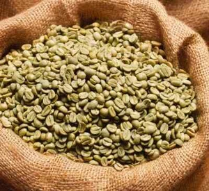 BRAZIL GREEN Coffee Beans NOT ROASTED Alta Mogiana Santo Single Origin Espresso - Picture 1 of 1
