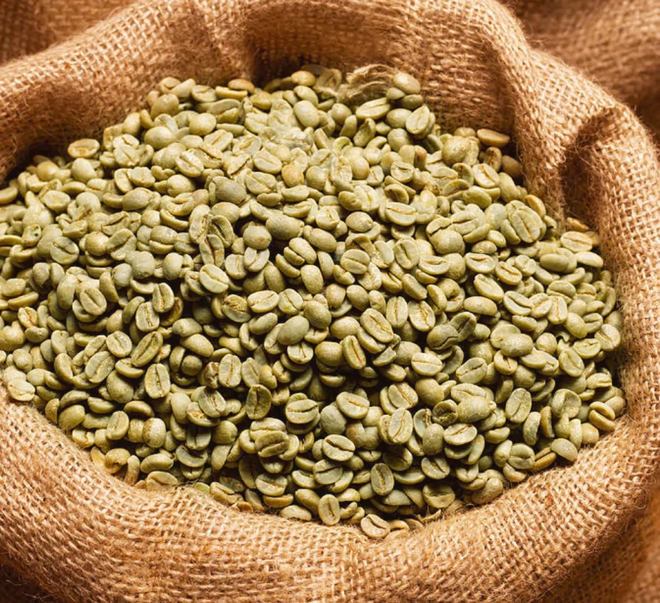 COFFEE IMPORTERS INTERNATIONAL BRAZIL GREEN Coffee Beans NOT ROASTED Alta Mogiana Santo Single Origin Espresso