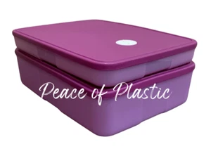 TUPPERWARE NEU GEFRIERSCHRANK Mate 2er SET - MIT DATUMSWAHL - IN LILA FARBE - Bild 1 von 3