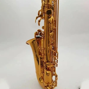 New 54 Alto saxophone Brown lacquered golden brass Eb sax With Case mouthpieces - Picture 1 of 5