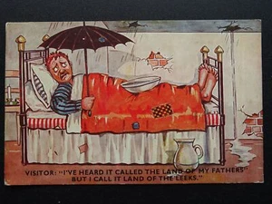 Welsh Anthem LAND OF MY FATHERS I call it LAND OF THE LEEKS c1910 Comic Postcard - Picture 1 of 2