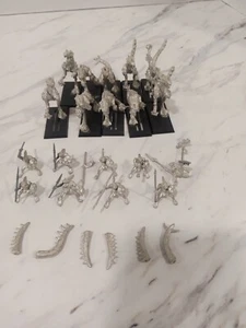 Warhammer Fantasy Regiment Renown Tichi-Huichi Echsenmenschen Skink Cold One Raiders - Bild 1 von 6