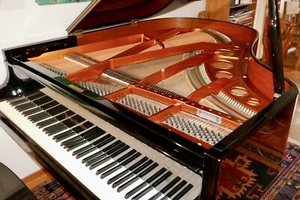 Bösendorfer Flügel Mignon 170 Schwarz - Bild 1 von 17