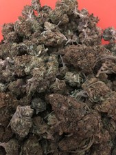 INFIORESCENZE LIGHT????10Gr LEMON SKUNK OUTDOOR #242????2019 MARTINGROWSHOP2.0