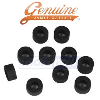 James Gasket Gas Line Seal for 1965-1969 Harley Davidson FLHFB Electra Glide nb Foto 1 de 4