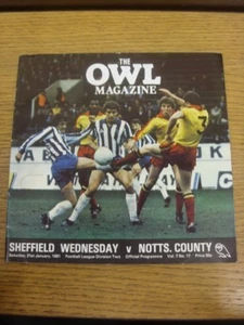 31/01/1981 Sheffield Wednesday v Notts County  . Footy Progs (AKA bobfrankandelv - Picture 1 of 1