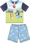 Boys Bluey Paw Patrol Thomas Cocomelon Short Printed Pyjamas Kids Pyjama age 1-5