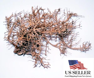 NATÜRLICHES TREIBHOLZ #BS007 WYSIWYG - AQUASCAPING, SUPER PREIS!!! BONSAI BAUMSCHMUCK - Bild 1 von 7