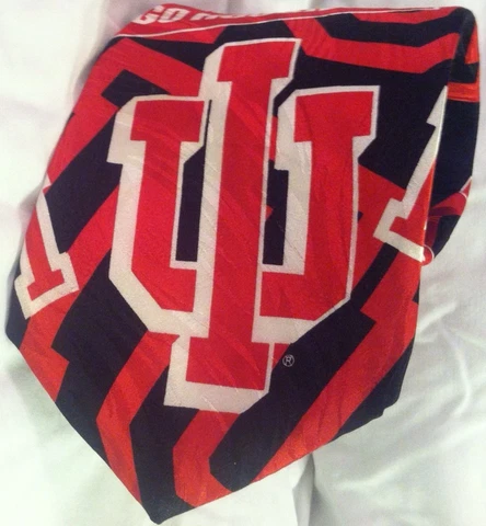 Indiana Hoosiers Necktie Tie Vintage 1994 100% Silk Ralph Marlin RM Sport IU EUC Cover