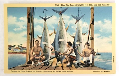 1937 DEEP SEA CATCH PC BLUE FIN TUNA CAUGHT IN GULF STREAM OFF BIMINI BAHAMAS M - Image 1 of 2
