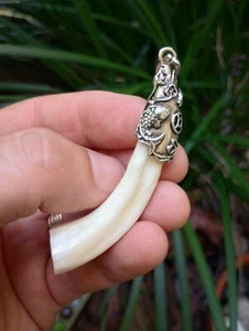CAMEL Tooth PENDANT Authentic TOOTH, / Taxidermy Real Bone C-2hx - Picture 1 of 6