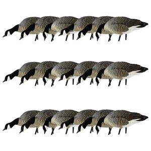 Avian X AXP Honkers Fusion Canada Goose Decoy Realistic Feeder Bodies, Set of 18 - Picture 1 of 5