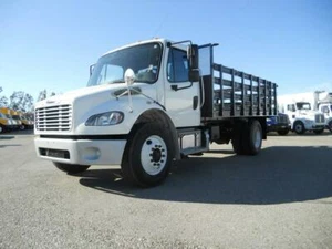 FREIGHTLINER 16FT BED (DUMP) CUMMINS CALL8772595010 AUTO INTERNATIONAL FORD GMC - Picture 1 of 12