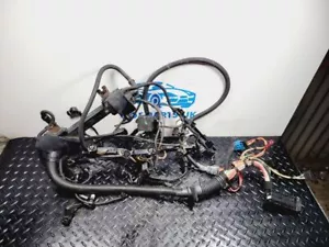 Telar cableado instalación motor gasolina BMW 3 E46 2006 12517555996 LIQ646 - Imagen 1 de 17