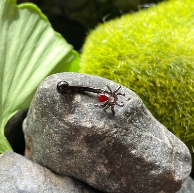 1pc Red Crystal Spider 16g Curved Barbell Rook Piercing 16 Gauge Eyebrow Ring - Image 1 of 3