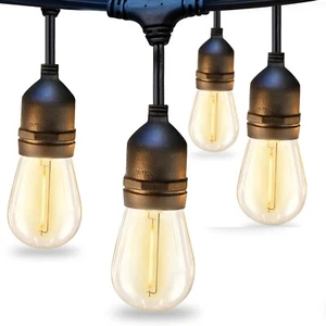 Novolink HX-01872 10.5 FT Edison D40 LED 10 Bulbs string lights Outdoor/Indoor - Picture 1 of 20
