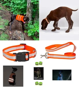 Dog Safety Bundle Bright Reflective Collar Lead Vest Ankle Band Night Visibility - Picture 1 of 8