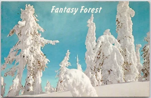 Fantasy Forest Big Mountain Whitefish Montana Winter Snow Trees Vintage Postcard - Picture 1 of 2