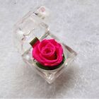 Ewige Rose Unsterbliche Echte Blume Kristall Rose Ring Box Ohrring Box