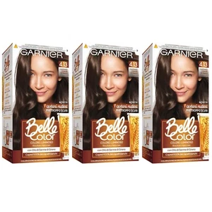 3 pz GARNIER BELLE COLOR Colorazione Permanente 4.13 Castano Cenere Dorato - Imagen 1 de 2