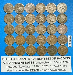 Juego de centavos cabeza india de iniciación ~ 30 fechas diferentes 1864-1909 #30X - Imagen 1 de 7