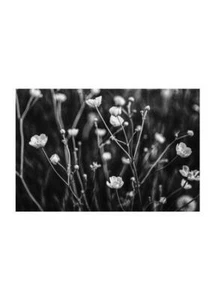 Poster Branches Poster auf hochwertigem Papier Druck Wohnkultur Wohnzimmer - Bild 1 von 5