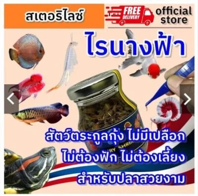 Angel Shrimp Natural Food for Guppy Betta, Discus, Tropical, Cichlids, Arowanas - Image 1 of 4