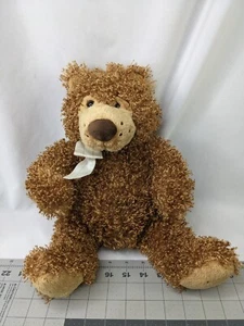 Peluche Mary Meyer Oso Rizado 14 Pulgadas Familia Cristiano Peluche Juguete - Imagen 1 de 11