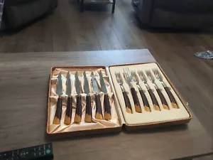 RETRO FAUX HORN & STAINLESS STEAK KNIFE & FORK SET 6 PLACES IN CASE BY GLO HILL - Picture 1 of 6