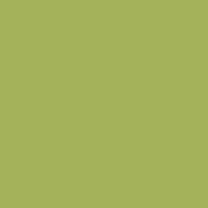 Northcott - ColorWorks Premium Solid 9000 - Kiwi, Fabric by the yard - Picture 1 of 1