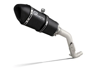Exhaust for Triumph TIGER 1050 2006-2012 GRmoto Carbon — 第 1/4 张图片