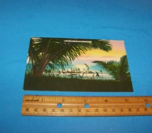 Sunrise In Tropical Florida Vintage Postcard - Imagen 1 de 2