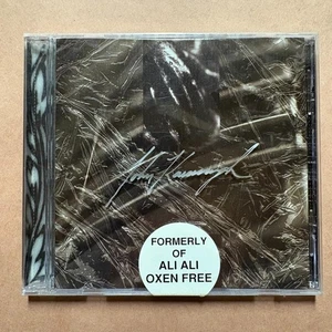 JOHN KAVANAGH CD Album 1996 NEW soft rock ballad jeff buckley grant lee buffalo - Bild 1 von 2