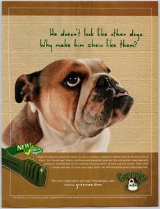 Anuncio impreso de bulldog inglés Greenies 2007 masticable dental para perros fácil de digerir - Imagen 1 de 3